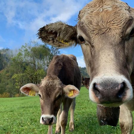 Alpenlaendischer Chic Oberstdorf Zewnętrze zdjęcie